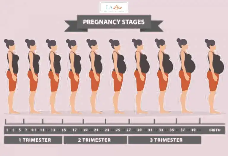 First Trimester (Weeks 1–12): Early Changes You Might Not Notice Altrincham